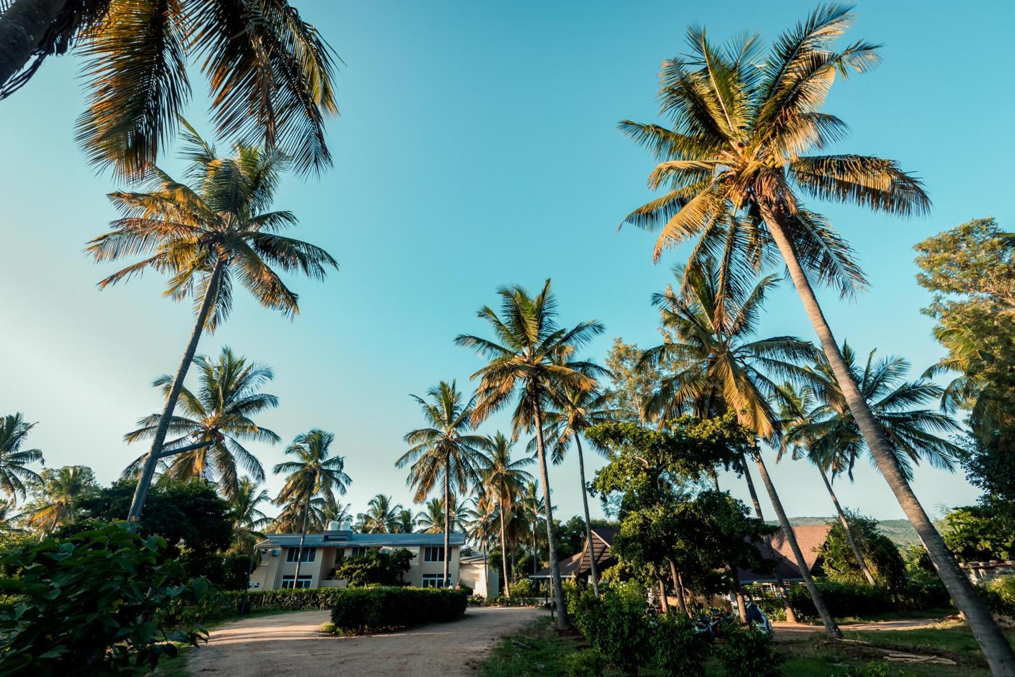 Commune18 Spa Resorts Chikmagalūr Exterior foto